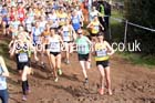 Senior womens 2016 Inter Counties Cross Country Champs. and Cross Challenge Final, Cofton Park, Birmingham. Photo: David T. Hewitson/Sports for All Pics